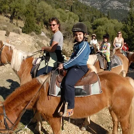 Superb With Private Pool Peaceful Location