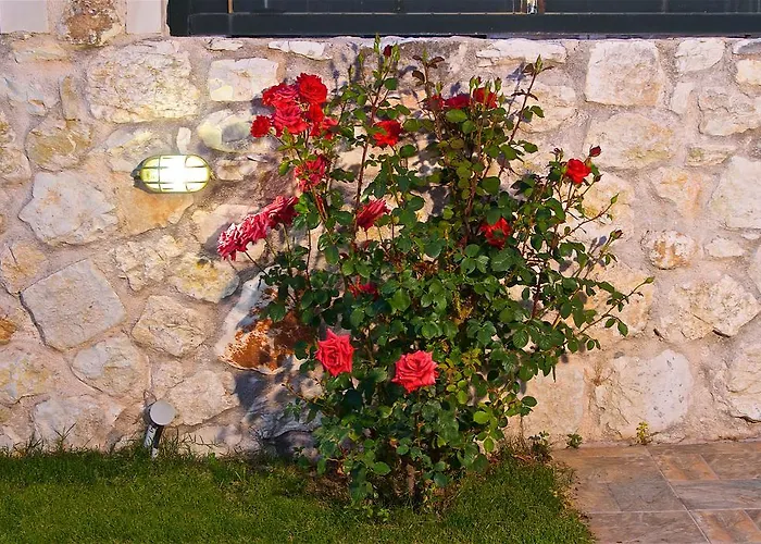 Superb With Private Pool Peaceful Location Vila *