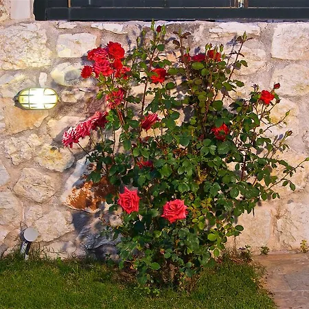 Superb With Private Pool Peaceful Location فيلة *